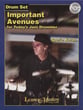 IMPORTANT AVENUES FOR TODAY'S JAZZ DRUMMER BK/CD cover